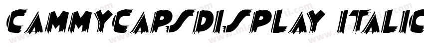 CammyCapsDisplay Italic字体转换